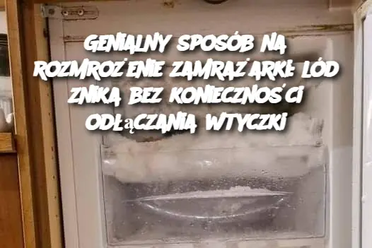 Genialny sposób na rozmrożenie zamrażarki: lód znika bez konieczności odłączania wtyczki