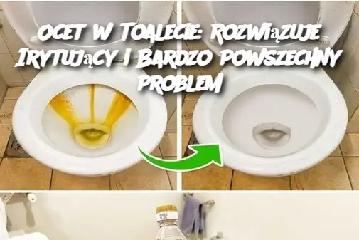 Ocet w Toalecie: Rozwiązuje Irytujący i Bardzo Powszechny Problem