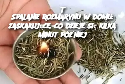 Spalanie rozmarynu w domu: Zaskakujące, co dzieje się kilka minut później