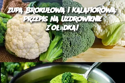 Zupa Brokułowa i Kalafiorowa: Przepis na Uzdrowienie Żołądka!