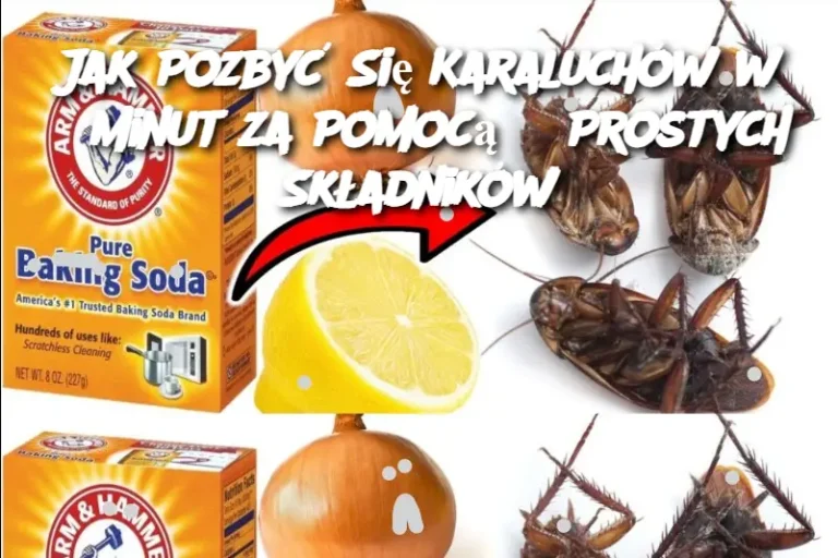 Jak Pozbyć Się Karaluchów w 5 Minut za Pomocą 3 Prostych Składników