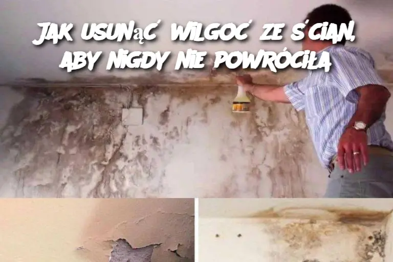 Jak usunąć wilgoć ze ścian, aby nigdy nie powróciła