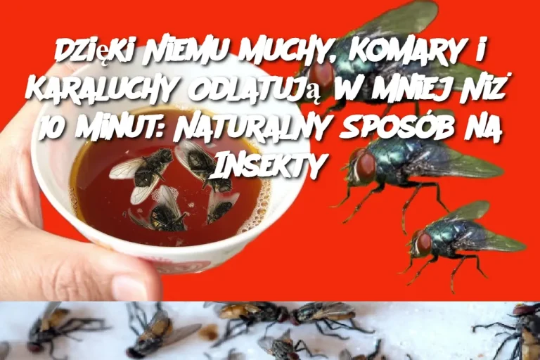 Dzięki Niemu Muchy, Komary i Karaluchy Odlatują w Mniej Niż 10 Minut: Naturalny Sposób na Insekty