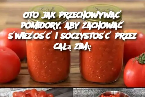 Oto jak przechowywać pomidory, aby zachować świeżość i soczystość przez całą zimę