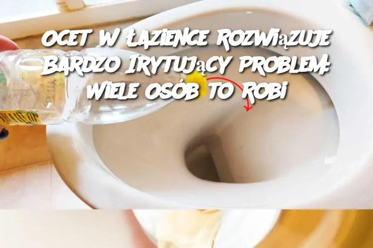 Ocet w Łazience Rozwiązuje Bardzo Irytujący Problem: Wiele Osób to Robi