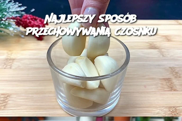 Najlepszy Sposób Przechowywania Czosnku