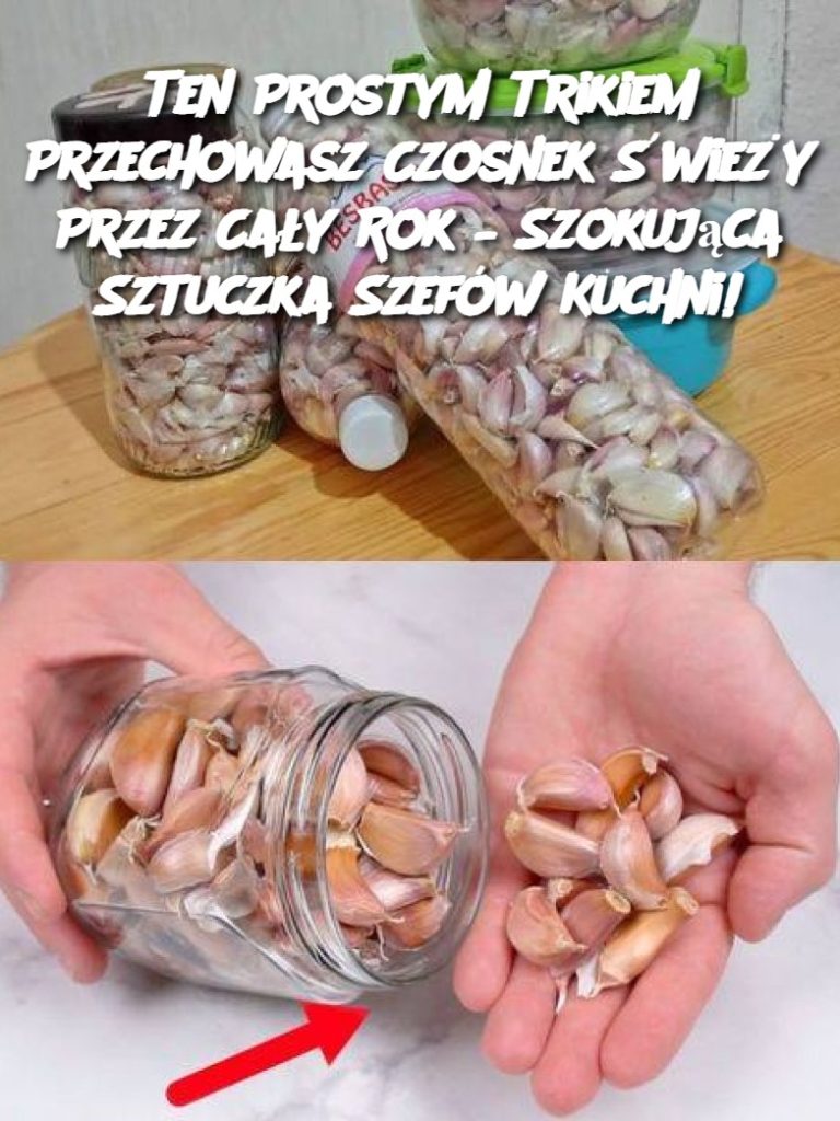 Ten Prostym Trikiem Przechowasz Czosnek Świeży Przez Cały Rok – Szokująca Sztuczka Szefów Kuchni!