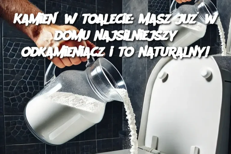 Kamień w toalecie: Masz już w domu najsilniejszy odkamieniacz i to naturalny!