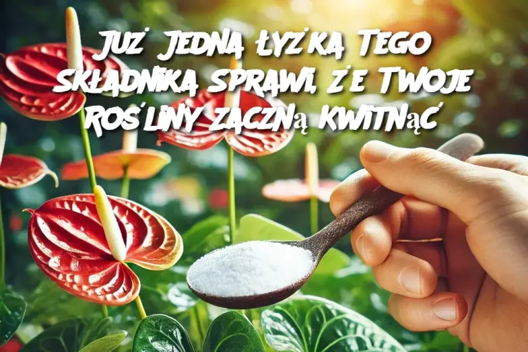 Już Jedna Łyżka Tego Składnika Sprawi, Że Twoje Rośliny Zaczną Kwitnąć