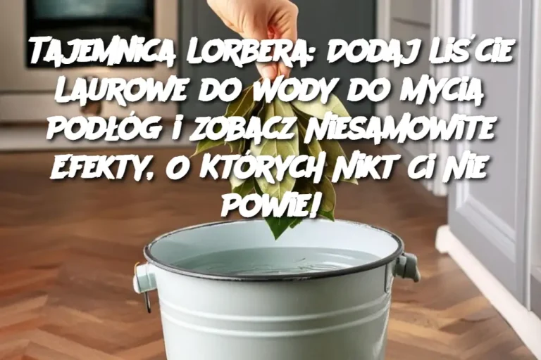 Tajemnica Lorbera: Dodaj Liście Laurowe do Wody do Mycia Podłóg i Zobacz Niesamowite Efekty, O Których Nikt Ci Nie Powie!