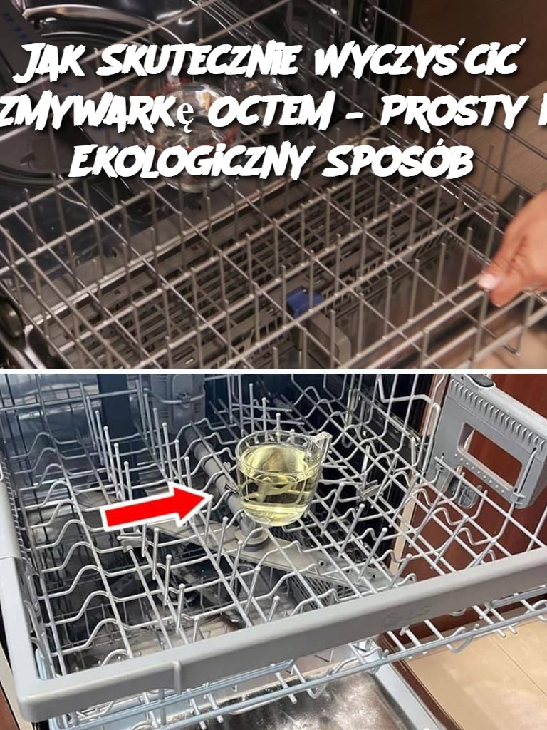 Jak Skutecznie Wyczyścić Zmywarkę Octem – Prosty i Ekologiczny Sposób