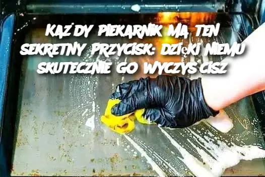 Każdy piekarnik ma ten sekretny przycisk: dzięki niemu skutecznie go wyczyścisz