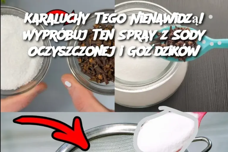 Karaluchy Tego Nienawidzą! Wypróbuj Ten Spray z Sody Oczyszczonej i Goździków