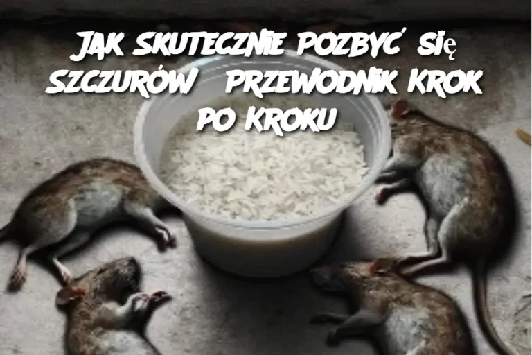 Jak Skutecznie Pozbyć się Szczurów? Przewodnik Krok po Kroku