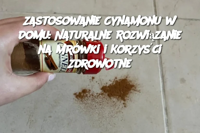 Zastosowanie Cynamonu w Domu: Naturalne Rozwiązanie na Mrówki i Korzyści Zdrowotne