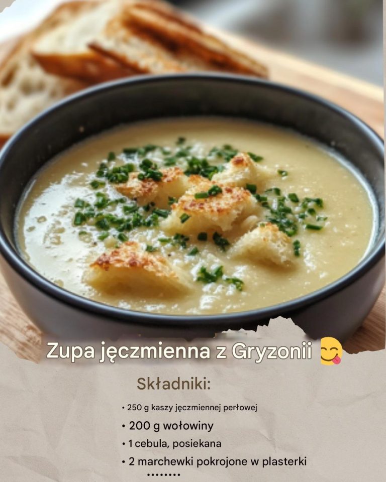 Zupa Jęczmienna z Gryzonii