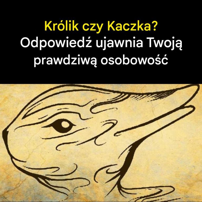 Test Osobowości: Królik czy Kaczka - Odpowiedź Ujawnia Twoją Prawdziwą Osobowość