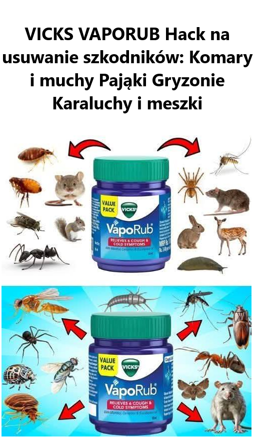 VICKS VAPORUB Hack na usuwanie szkodników: Komary i muchy Pająki Gryzonie Karaluchy i meszki