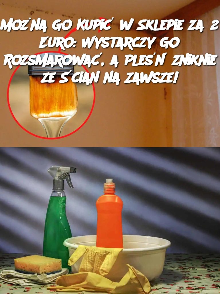 Można Go Kupić w Sklepie za 2 Euro: Wystarczy Go Rozsmarować, a Pleśń zniknie ze Ścian na Zawsze!