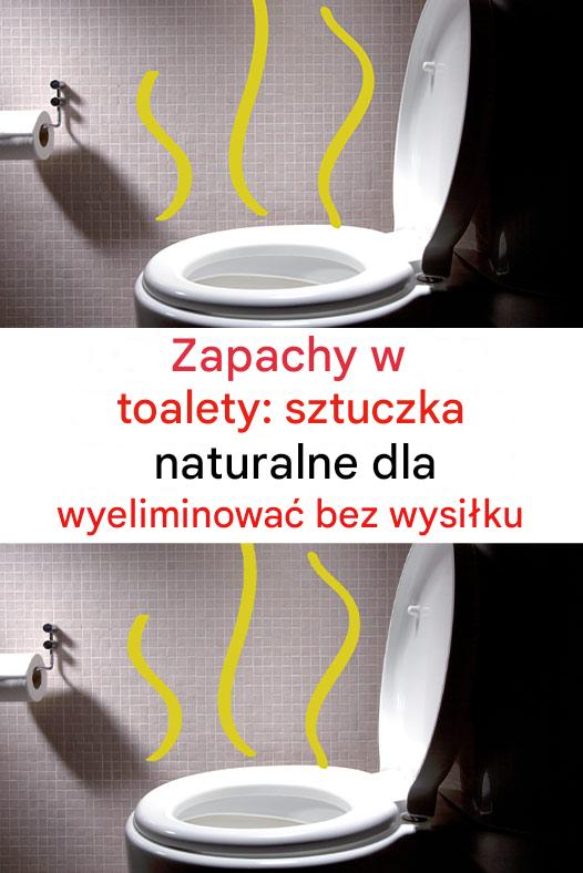 Nieprzyjemne Zapachy w Toalecie: Naturalny Sposób na Ich Łatwą Eliminację