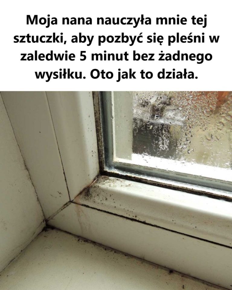 Szybkie i Skuteczne Usuwanie Pleśni za Pomocą Nadtlenku Wodoru