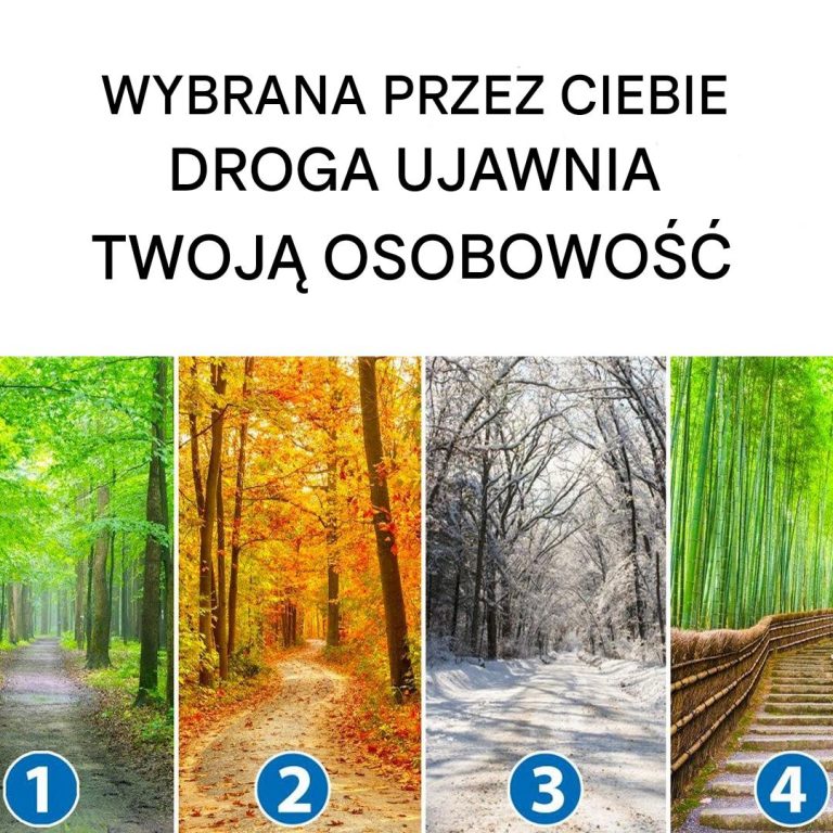 Wybrana przez Ciebie Ścieżka Ujawnia Twoją Osobowość