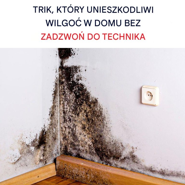 Jak Usunąć Pleśń ze Ściany Bez Pomocy Technika