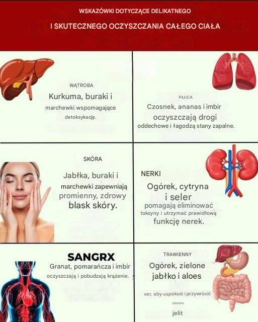 Body Detoxification: What It Is, Why It Matters, and How to Do It Naturally