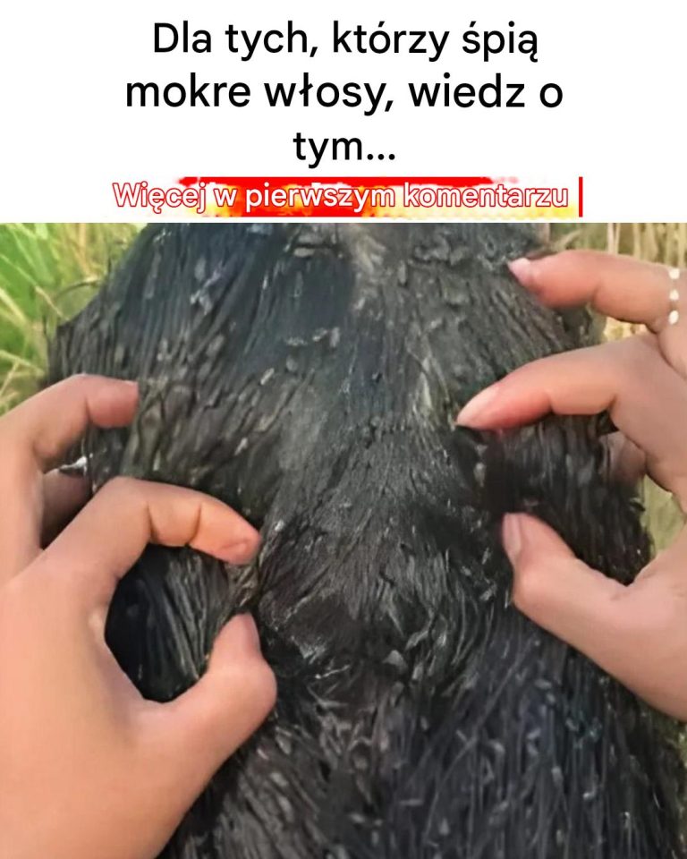 5 powszechnych mitów na temat spania z mokrymi włosami