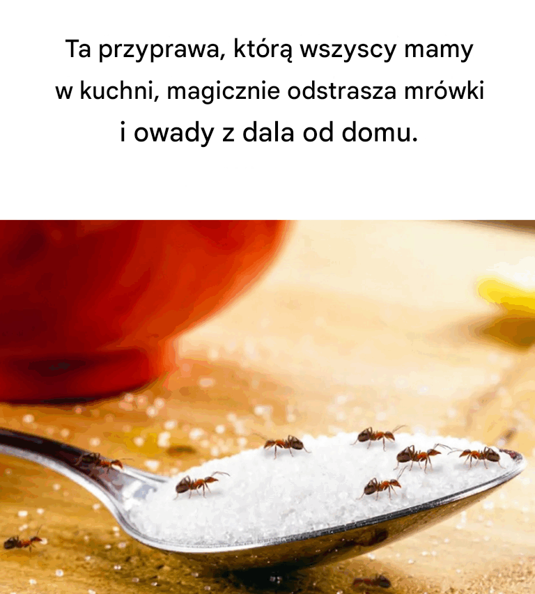 Ta popularna przyprawa kuchenna jest magiczna, jeśli chodzi o trzymanie mrówek i insektów z dala od Twojego domu