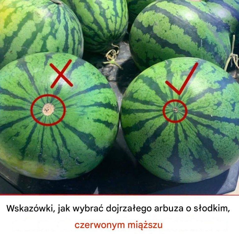 Jak wybrać dojrzałego arbuza o słodkim, czerwonym miąższu