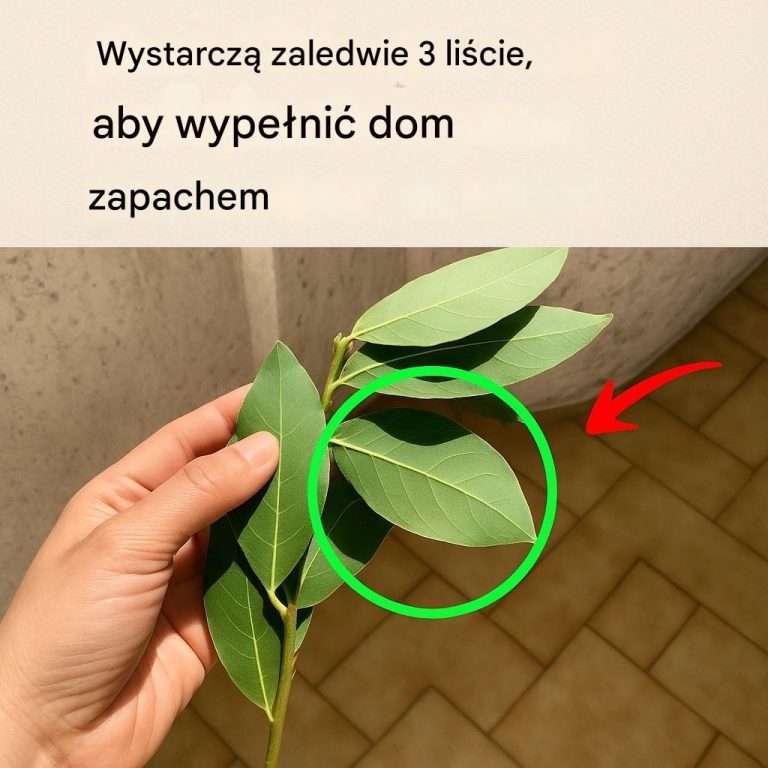 Wystarczą 3 liście tej rośliny, aby nadać domowi zapach
