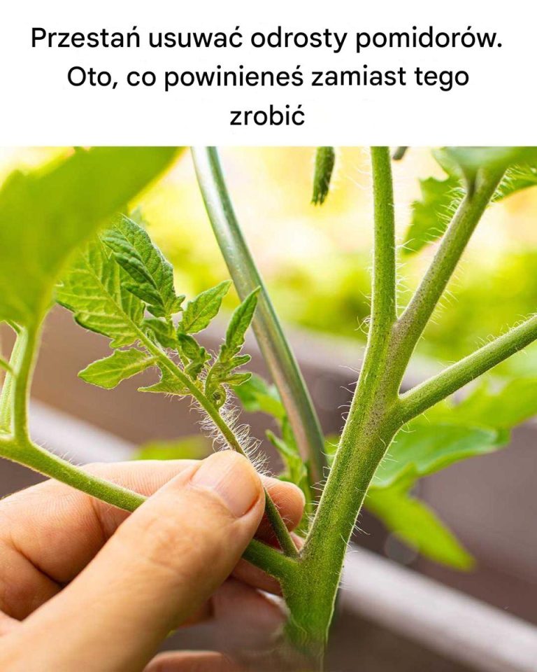 Dla mnie to nowość!