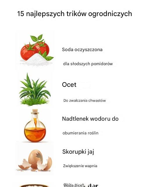 15 najlepszych trików ogrodniczych 15 najlepszych trików ogrodniczych