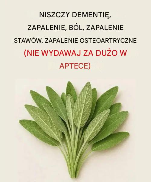 Wszystko, co możesz zrobić z tą rośliną: wszystkie zastosowania babci