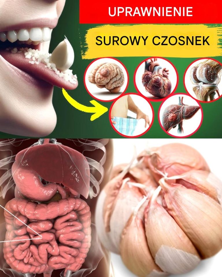Surowy czosnek: mała superżywność o wielkich korzyściach zdrowotnych